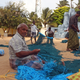 A Thoothoor fisherman